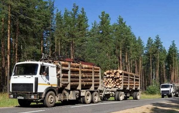 Лесовозы для перевозки леса, аренда и услуги. - , заказать или взять в аренду