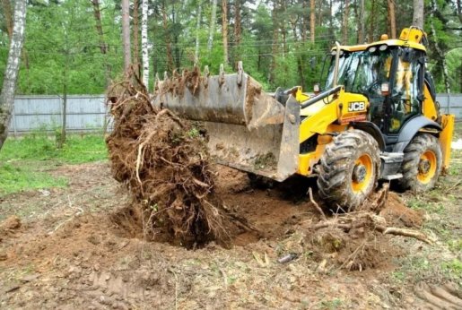 Удаление пней и корчевание вручную и со спецтехникой стоимость услуг и где заказать - Брянск