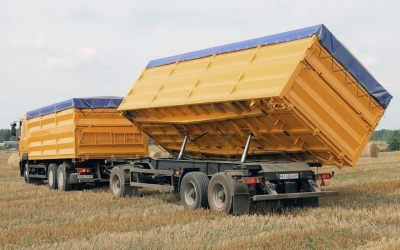 Услуги зерновозов для перевозки зерна - Брянск, цены, предложения специалистов