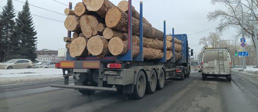 Поиск транспорта для перевозки леса, бревен и кругляка стоимость услуг и где заказать - Брянск